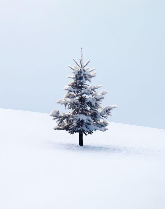 Tyst va? Det är snön som dämpar ljudet så effektivt. Stenullen vi använder i våra produkter är ett naturligt material som har precis samma ljudabsorption som snö.