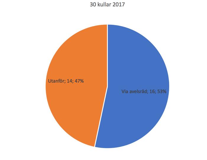 Dessa hundar kan därför inte ses som någon större tillgång i den totala populationen, så länge som de inte kan visa upp på jaktprov att de faktiskt fungerar för fågeljakt.