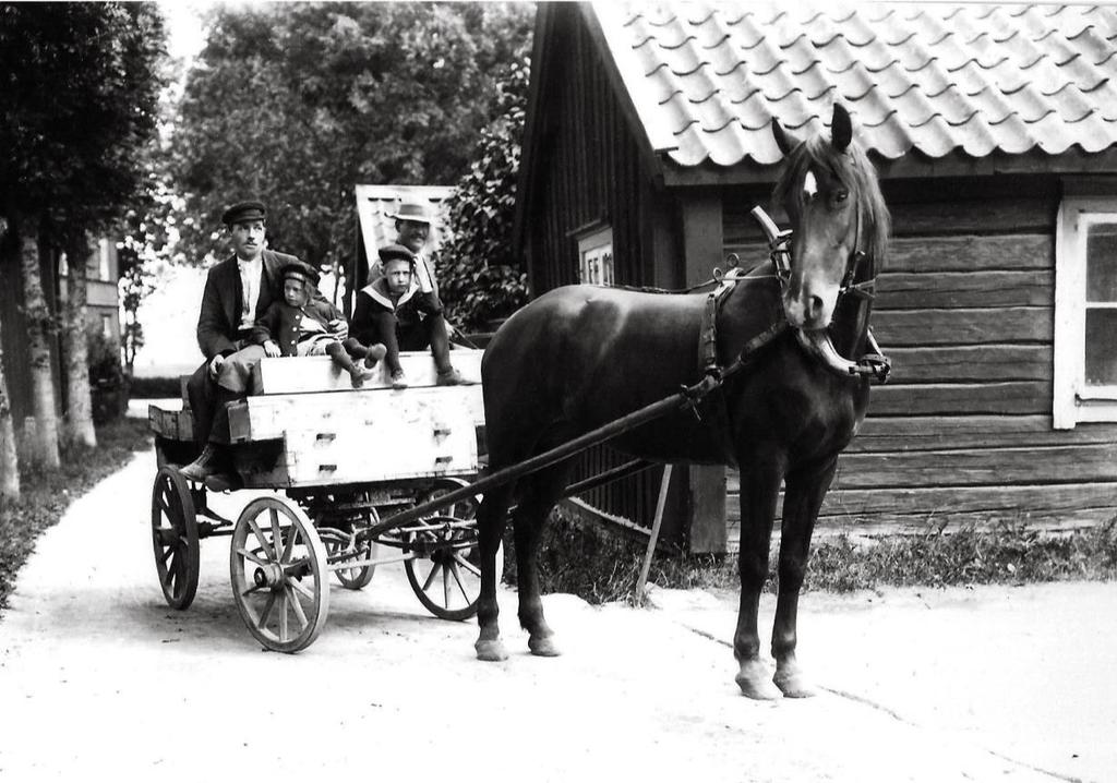 På bilden ser vi Kvarngatan mot söder omkring 1902. De lummiga träden skyddade dessutom mot att brand spreds mellan husen.