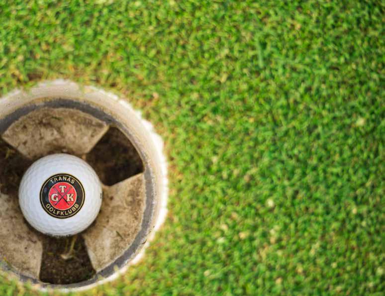 Hole-In-One's 2017 på Norrabybanan Datum Namn Hål Bana Lars Ericson 12 Almerimars GC Per Hallin 10 Norrabybanan Per Friberg 12 Norrabybanan Krister Gustafsson 12