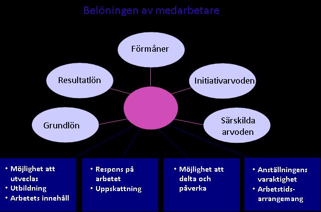 3/16 1 BAKGRUND TILL BELÖNINGEN Personalens lön är en del av belöningen.