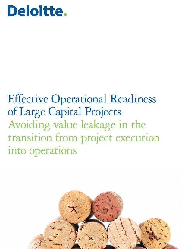 International capital project experience reported by e.g.