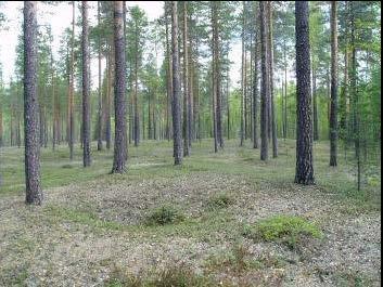 Heden Kommun Beskrivning Motiv för urval Skydd Tillgänglighet Luleå Hedenområdet med sina boplatslämningar, fångstgropar, kokgrop och boplatsvall ger en bild av en fångst- och boplatsmiljö som