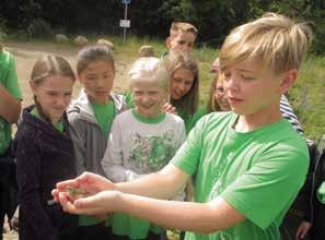 BIOSFÄROMRÅDE KRISTIANSTADS VATTENRIKE VERKSAMHETEN 2016 11 Året som gått Vattenriket för skolan och lovlediga Naturum samarbetar med skolor och barn på flera sätt.