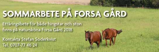 Strt Bnkod : b GITAB-loppet -årig oh äldre. -. kr. m. Autostrt. Pris:.-.-.-.-.-(.)-(.) kr. Hederspris till segrnde hästs ägre oh körsven. M M S M HIVES, M, AK,br. v.