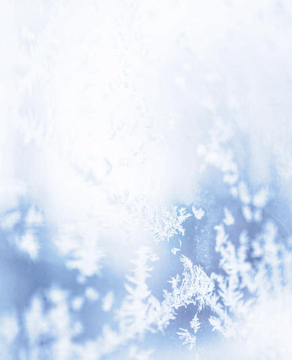 16 SvD Magasinet lördag 8 december 2018 God Jul & Gott Nytt År!