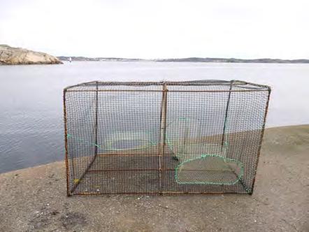 Räkbur, vidareutveckling av burdesign och ljusbetning - Utvärdera burar för fiske efter räka.