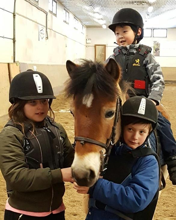 Betydelsen av Kungsörs Ridklubb i Kungsörs kommun Sedan ridskolan startade har vi på många sätt bidragit till goda möjligheter för kommunens invånare. Tillgängligheten.