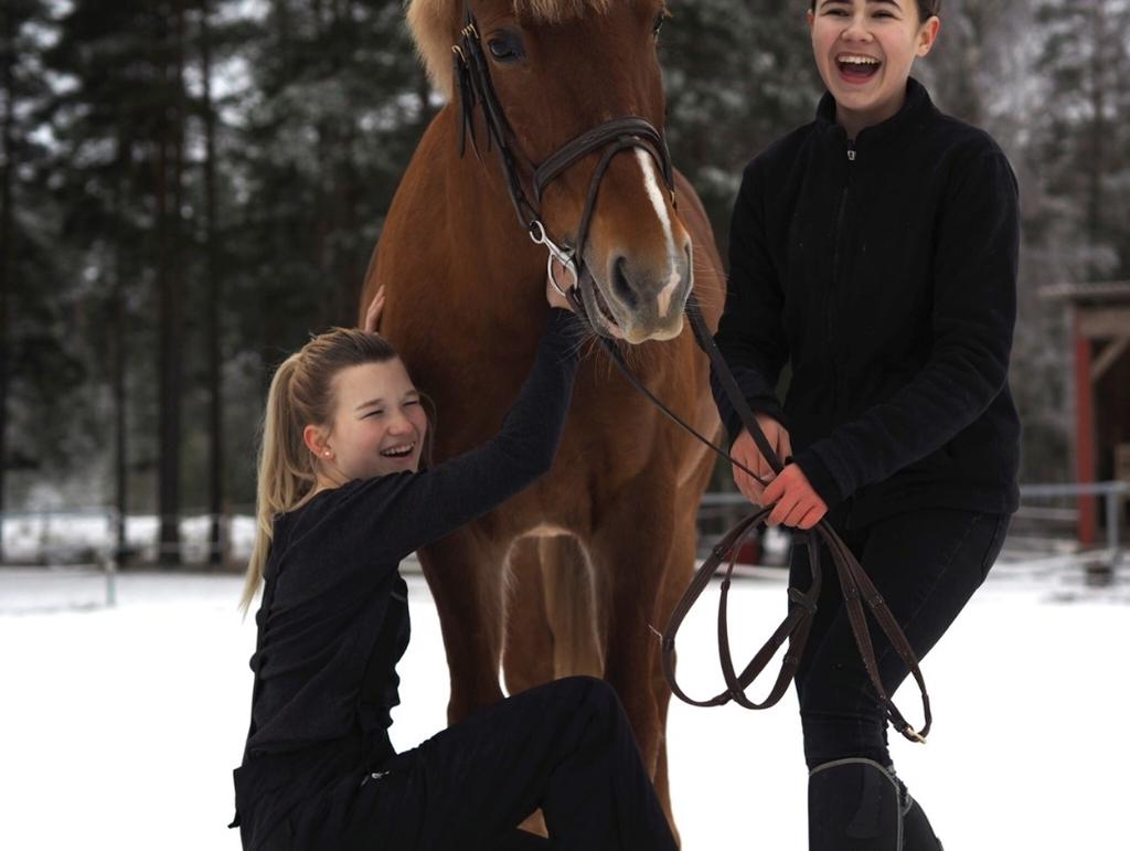 Betydelsen av Kungsörs Ridklubb i Kungsörs kommun, forts. Vi är en fritidsgård för många av kommunens barn/ungdomar. Vi utbildar många av våra medlemmar till ungdoms/vuxenledare.