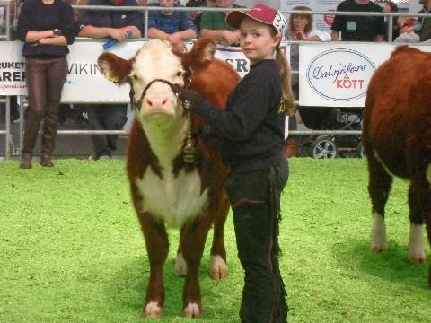 Mika Friström Christel Lysell SM I SM var vi var 10 stycken som tävlade för Hereford.