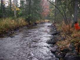 miljökontoret Miljöavdelningen