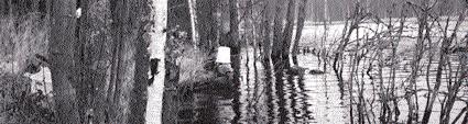 Även i Norrland förekom översvämningar under 2000. Detta är en bild från Sidensjön i Västerbotten som provtogs den 24 oktober.
