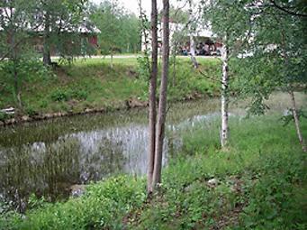 Bild 29. Kanalen vid Ulriksfors sulfitfabrik. Foto: Länsstyrelsen Jämtlands län. 10.
