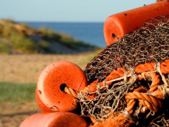 Österlenleden, Ystad - Alunbruket, 7 nätter 3(8) Du vandrar utmed milslånga sandstränder förbi Mälarhusen, Sandby strand, Borrby strand och Kyhls strandbad.