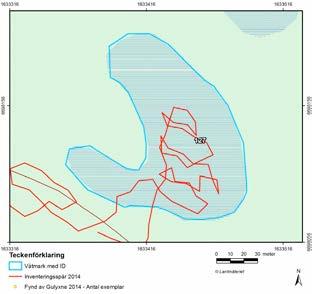 våtmarken. Figur B1-29. Våtmark 127. Ingen gulyxne hittades 2014.