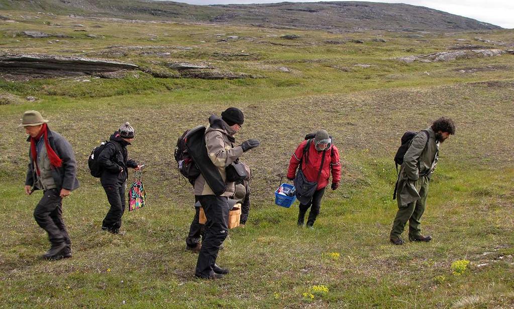 Tillgången till fruktkroppar var god till mycket god och ett stort antal fynduppgifter och kollekter samlades in.