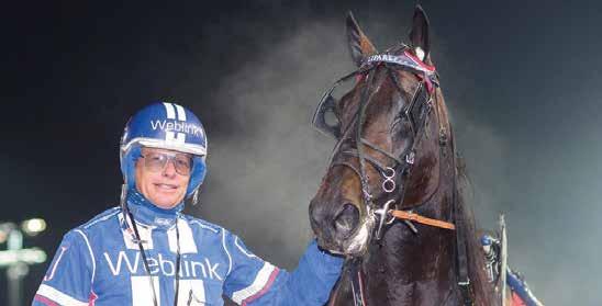 e Manarino Be - : --,a 9 : --,a Tot: -- Always Gol e hipmate Elias M 9/9 - /, a Uppf: Vanhouke an, Belgi Lugar Å 9/ - /, a Äg: Vanhouke an, Belgi Lugar Å 9/ -9 /, a Mörklå, vit/gul hängsl; mörklå