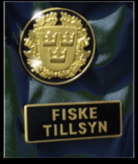 tillsyn