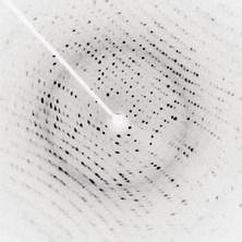 Detta i sin tur ledde också till upptäckten av DNA-molekylens struktur på 1950-talet, vilket i sin tur öppnade
