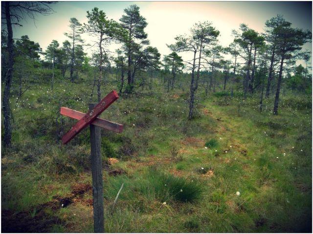 Skeppssättning