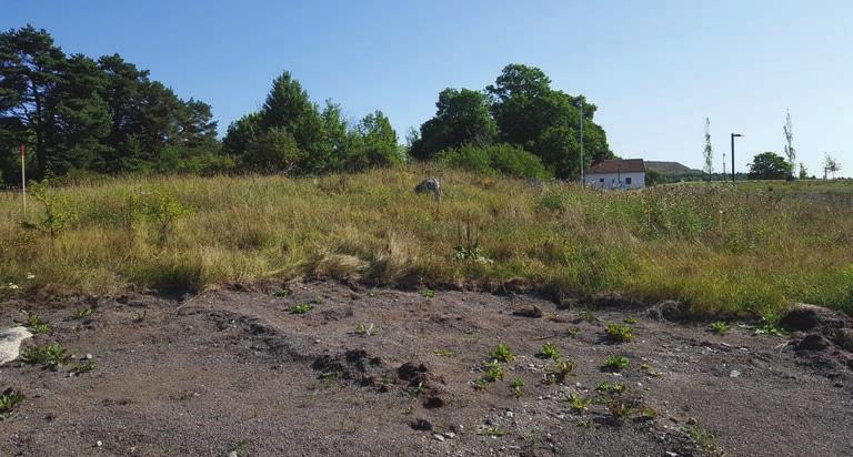 Undersökningsresultat Avvikelse från undersökningsplanen I samband med schaktningen framkom att området var omrört och att där fanns påförda massor.