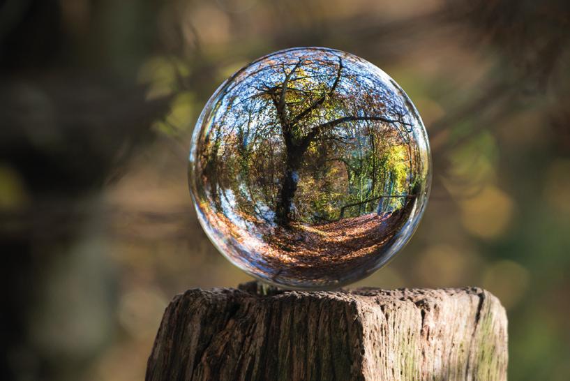 miljöarbetet. Naturen är därför ständigt närvarande och kan gärna återspeglas i bildmanér och färg.