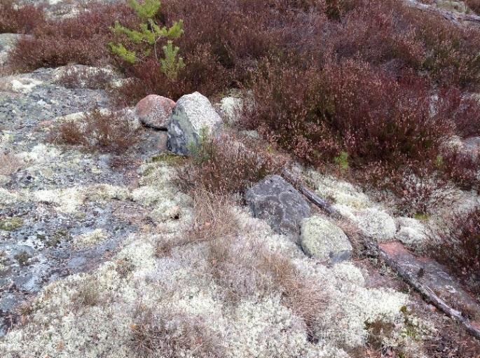 Havsvidden, Geta, Åland - Arkeologisk inventering Objekt WSP 06 gränsmärke Koord.