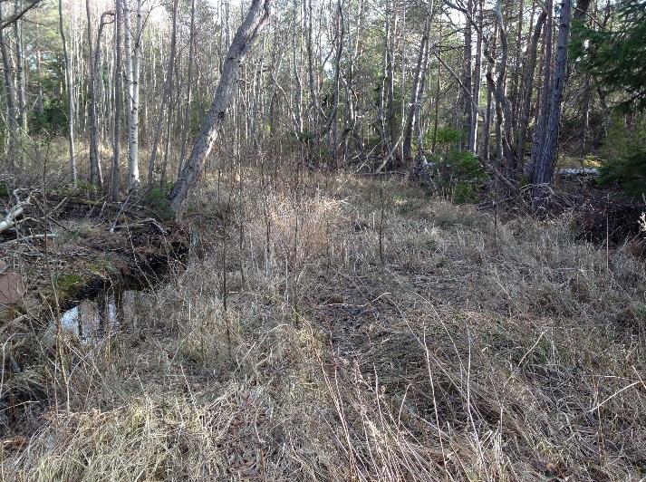 Figur 6 Bergparti med gles skog väst om Stormossen Figur 7 Bergparti med gles skog i väster om Gunnarbergsvägen R:\5876\10236329 - Havsvidden\3_Dokument\36_PM_Rapport\Landskapsbild\PM