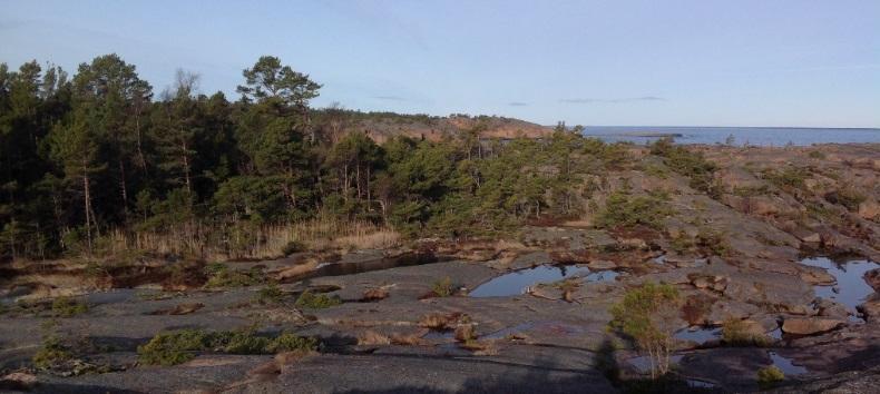 lämningar som finns inom områdena inte är fasta fornlämningar och dessutom ligger lämningarna längs fastighetsgränser och i utmarker.