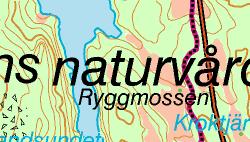 liten avvikelse* 12 Hög status Antal taxa/mila * Avvikelseklassning från Naturvårdsverkets bedömningsgrunder 1999 (Danskt faunaindex) Kommentar Vid årets provtagning förekom flera känsliga och