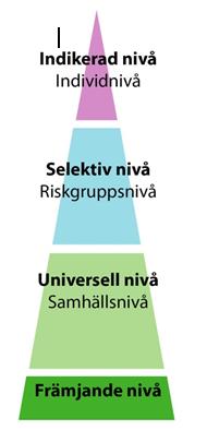 480 Bihang 2016 Nr 158 Figur 6: Det förebyggande arbetet I en renodlad facknämndsorganisation fördelas ansvaret för specifika frågor av karaktären områdesutveckling till nämnderna genom till exempel