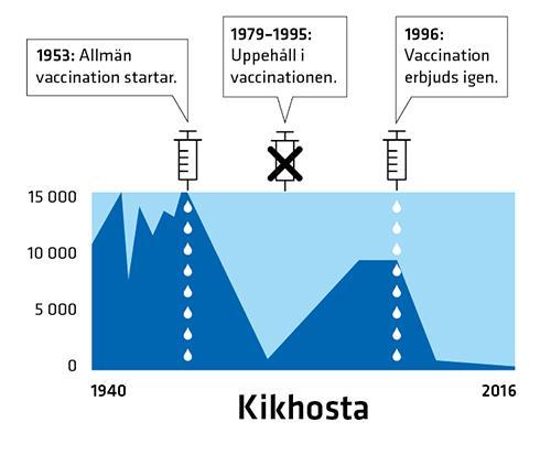 Vaccinationsprogrammet Kikhosta förekommer trots vaccination Varken vaccination eller sjukdom ger ett fullständigt och livslångt skydd