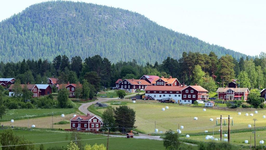 Bredbandtillgången hämmas på landsbygden genom långa avstånd och därigenom höga kostnader 2. Bredbandstillgången hämmas av brist på engagemang hos kommuner och andra offentliga aktörer 3.