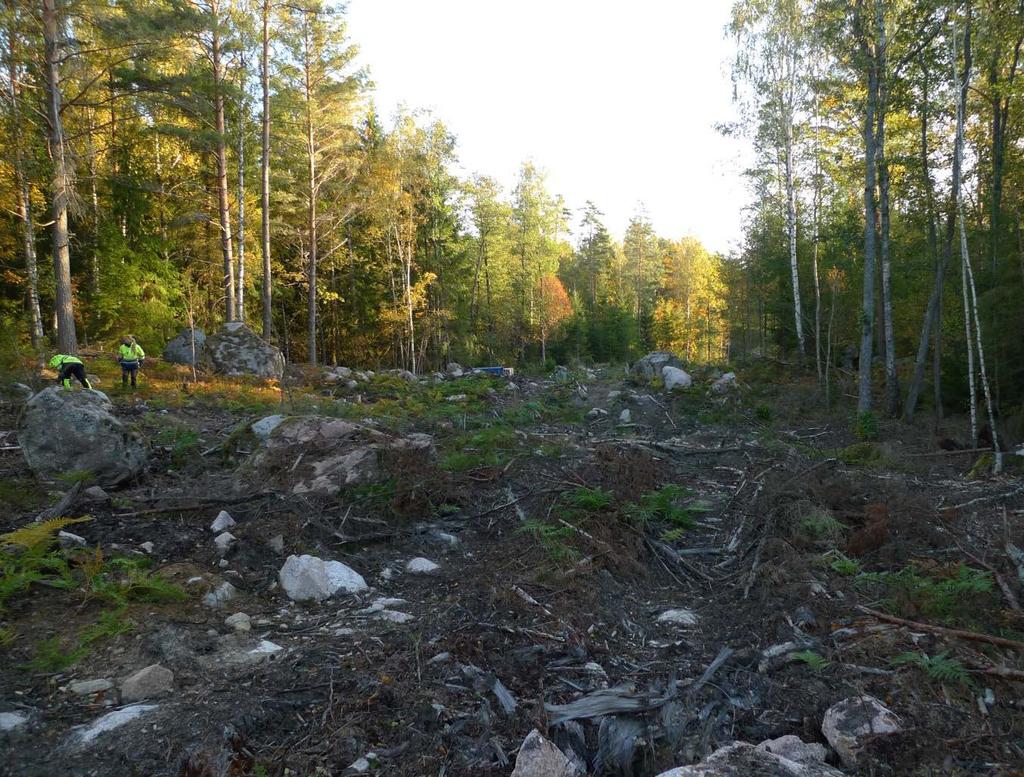 Figur 4. Förundersökningsområdet från väster. Foto: Fredrik Andersson. När det gäller den kända fornlämningsmiljön i närområdet finns en annan gropkeramisk boplats registrerade sedan tidigare.