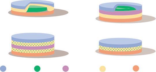 Transdermala plåster Matrix Reservoir Drug-in-Adhesive Multi-Layer