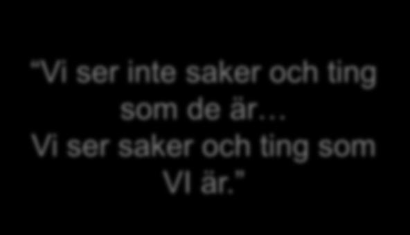 Vi ser inte saker och ting