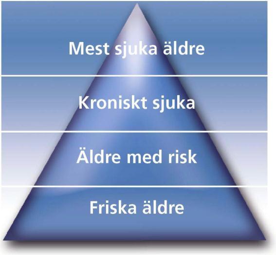2013-05-29 Det övergripande målet är att den enskilde ska uppleva trygghet och säkerhet, kontinuitet och samordning, värdighet och välbefinnande oavsett var i vårdkedjan eller vilka vårdbehov hon