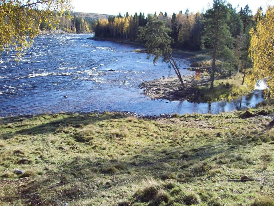 Långforsen,