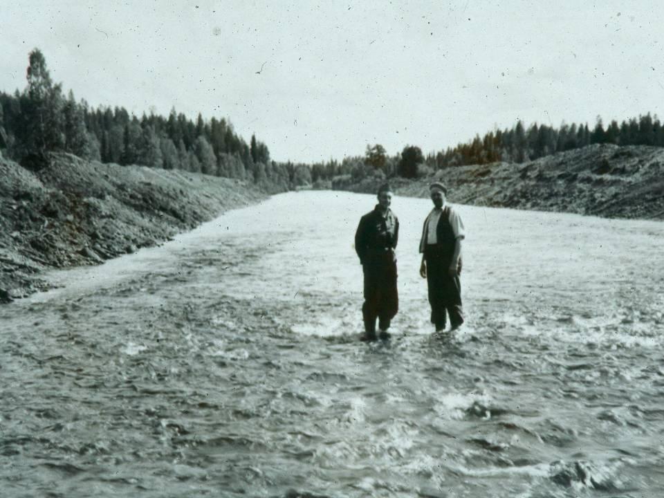 Varför restaurering? Den ideala miljön för laxen och den ideala miljön för timmerflottningen är varandras motsatser.