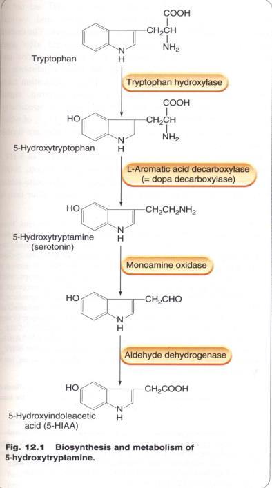 agonist, invers agonist respektive en antagonist skiljer sig åt med avseende på efficacy /inneboende aktivitet. Förklara även vad som menas med med partiska ligander (biased ligands)!