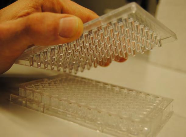 Minimal Biofilm Eradication Concentration-MBEC Objektivt mått på antibiotikaeffekt i biofilm