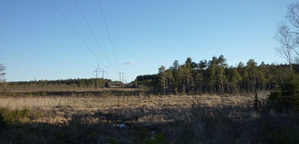 Figur 5. Norra delen av Fredriksdalsmossen. Foto: Helena Bodh. Dynefallamossen består av flera delobjekt enligt VMI.