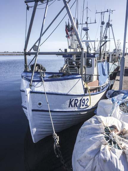 NYHETER NYTT FISKPROJEKT SKA STÄRKA LÖNSAMHETEN FÖR SMÅSKALIGA FISKARE I ÖSTERSJÖN Smaka på Skåne startar nu tillsammans med Marint centrum i Simrishamn ett projekt för att utveckla fiskenäringen i