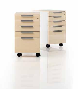 IN THE PICTURE IS A PINTA DESK, A COMBO CABINET AND A LOGIC CHAIR.