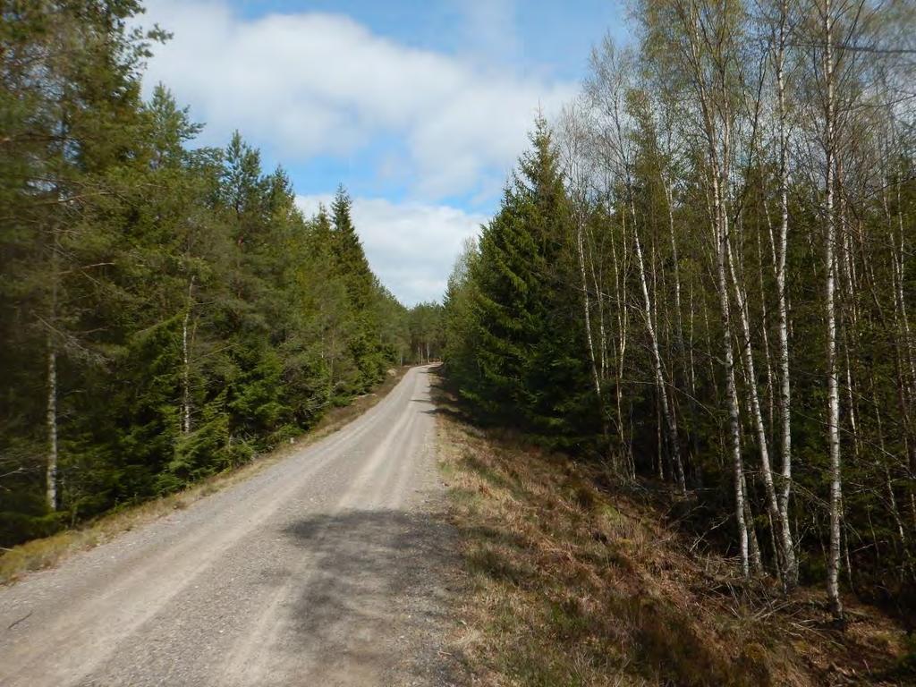 Figur 4.2 Passage längs med väg strax norr om Nyäng. Kortet taget mot nordost. Kabeln förläggs på vägens nordvästra sida, till vänster om vägen.