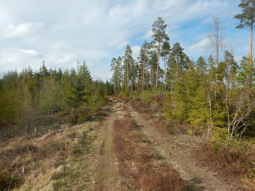 Figur 4.3 Passage längs befintlig traktorväg, kortet taget norrut. Den förordade sträckningen följer till allra största delen befintliga eller planerade nya vägar.