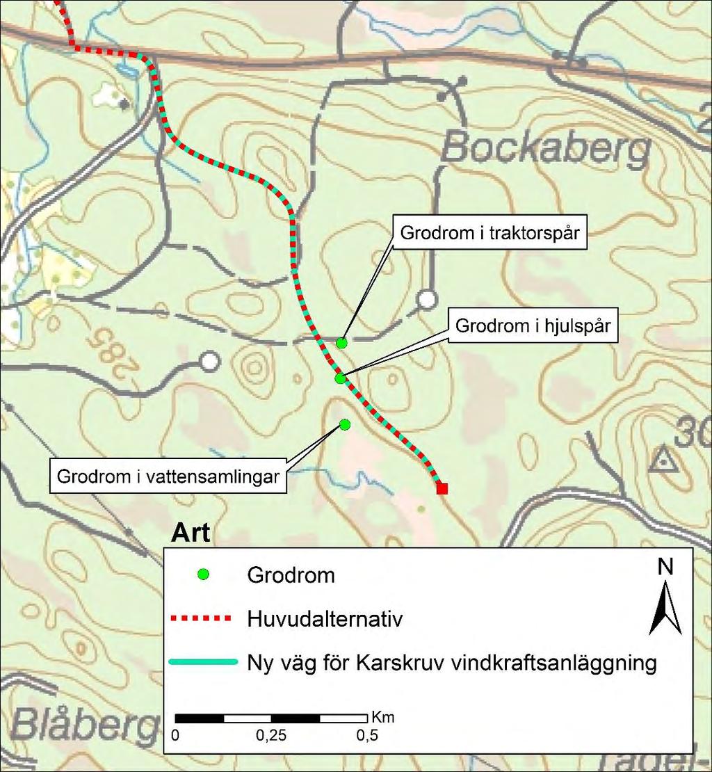 Strax söder om passage av naturvärdesobjekt NVI 6.9 påträffades romklumpar av vanlig groda i hjulspår under våren, se Figur 10.2 nedan. Arten är fridlyst ( 6 Artskyddsförordningen).