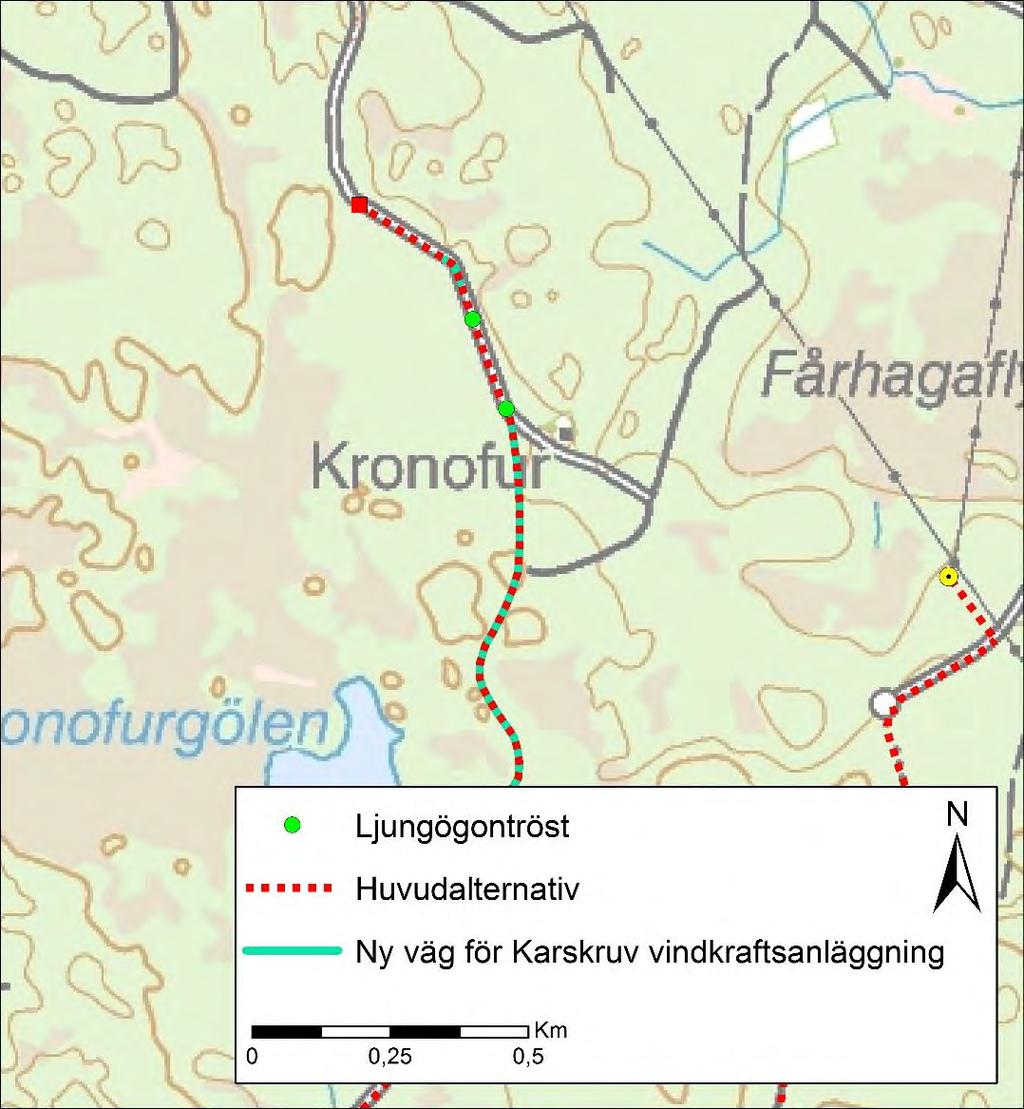 Figur 10.3 Förekomst ljungögontröst. Strax norr om passagen av naturvärdesobjekt NVI 5.2 passerar ledningen ett antal förekomster av kärlväxten borsttåg, rödlistad som nära hotad (NT), se Figur 10.