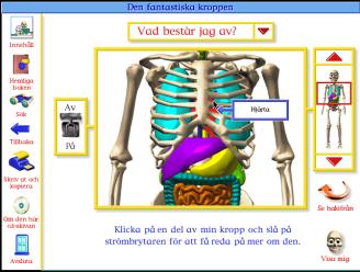 Bilden som roar och klargör Bild: 30: Ur Den Fantastiska Människokroppen. med det organ som man vill studera. Därefter trycker man på on och första bilden visar sig (se bild 29).