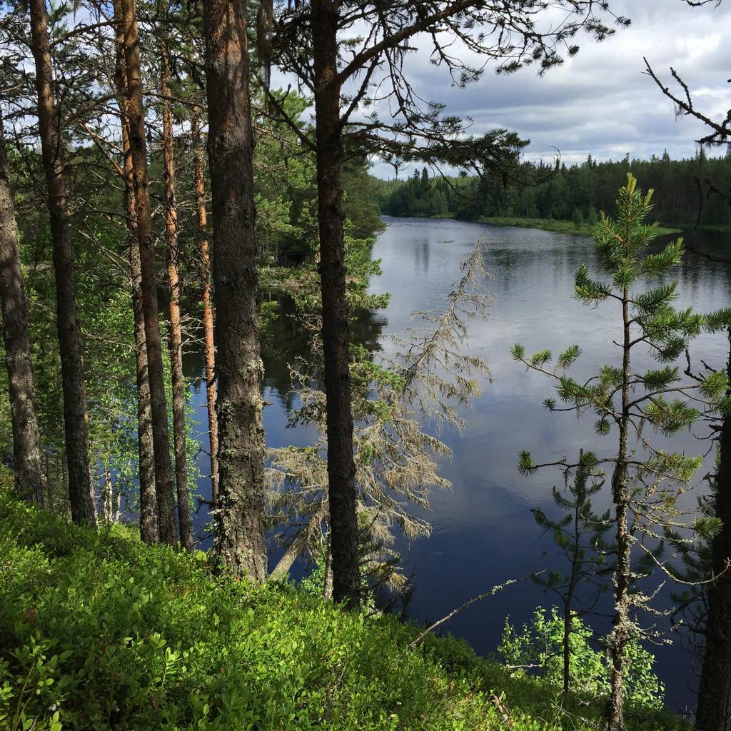Skog, jakt & fiske vid Särna /Trängsletdammen Välarronderad större obebyggd skogsfastighet om 227 ha vid Särna/Trängsletdammen. Lättillgänglig med bra vägnät.